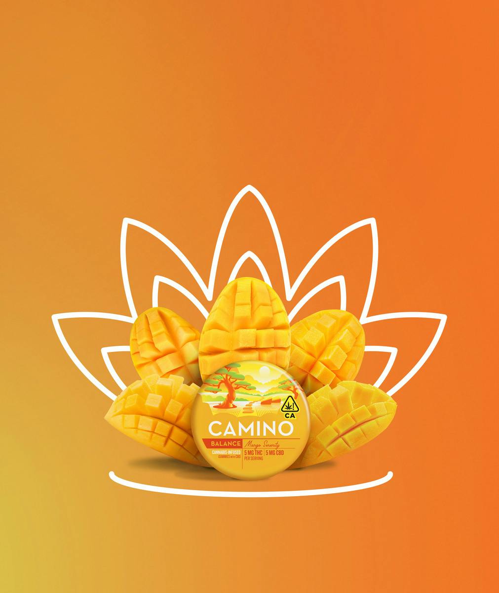 MANGO SERENITY 1:1 — / Camino