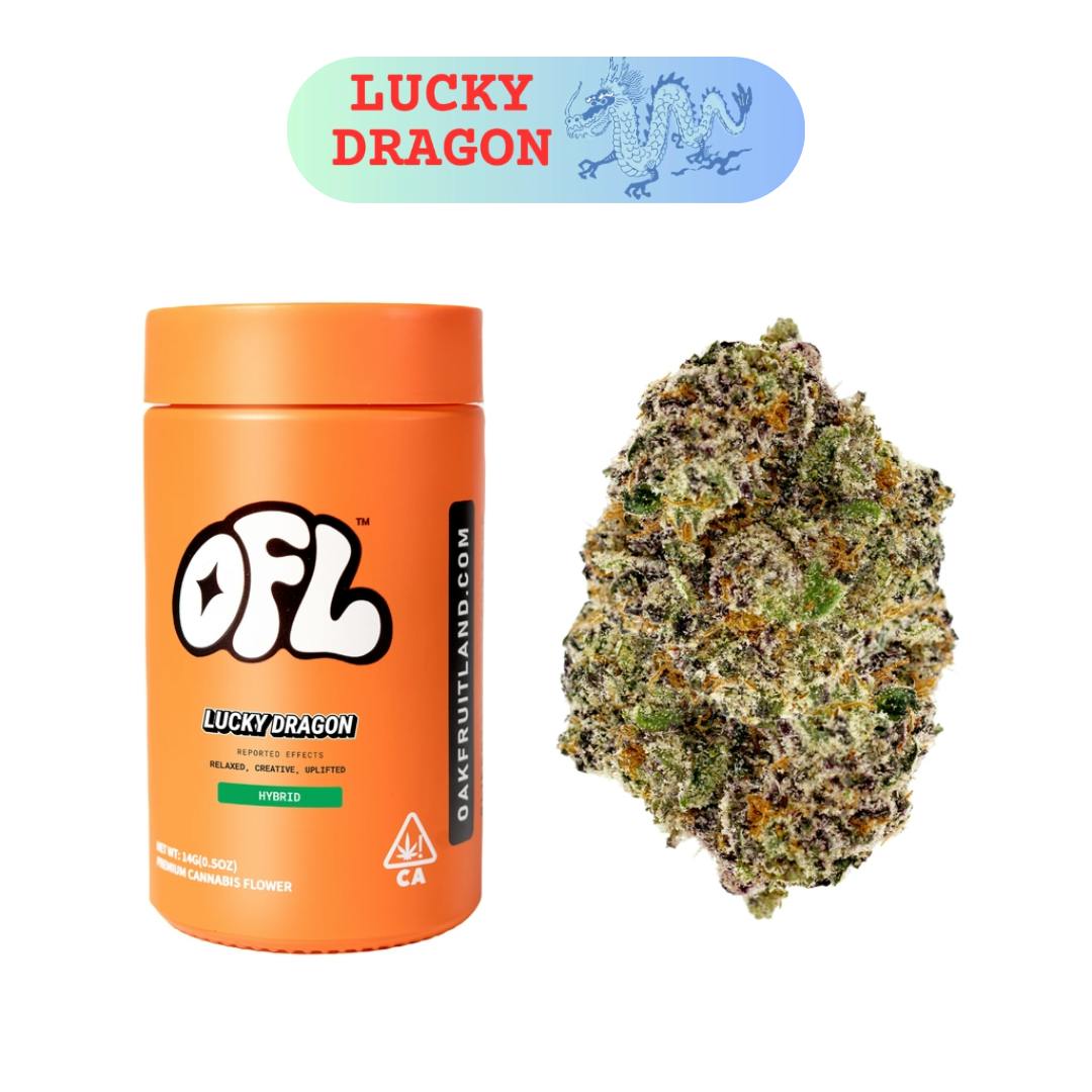LUCKY DRAGON: LUCKY DRAGON JAR 14G
