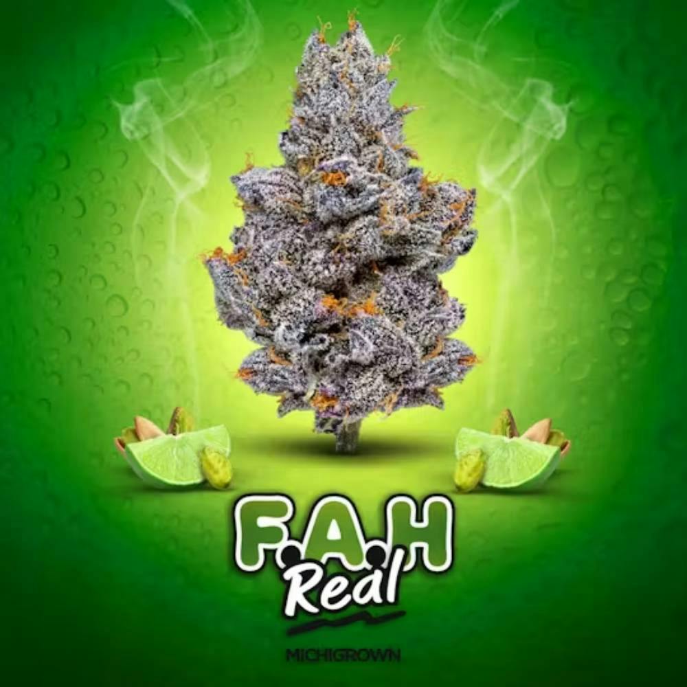 Michigrown F.A.H. Real