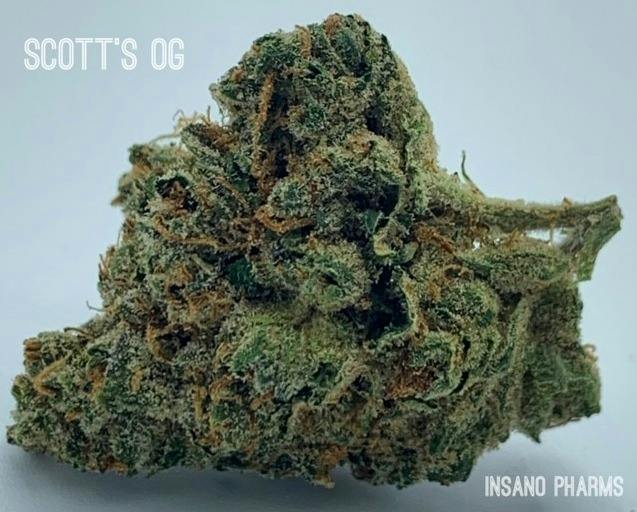 Insano Pharms - Scott's OG - 1g Pre-Roll