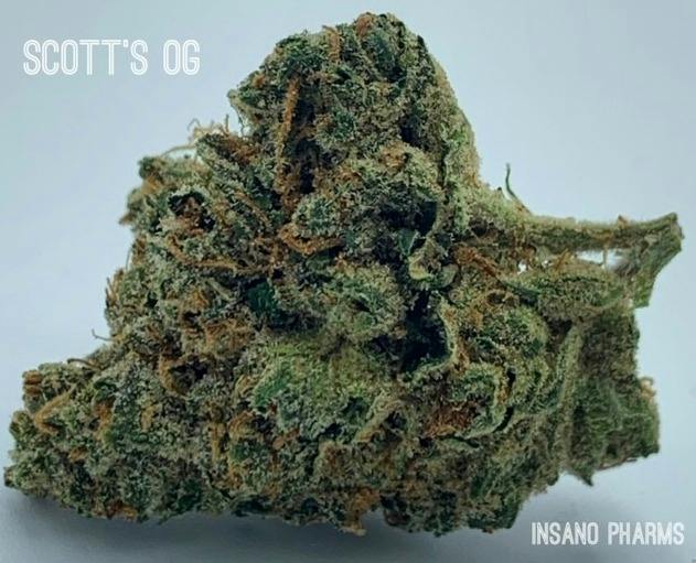 Insano Pharms - Scott's OG - 3.5g Flower