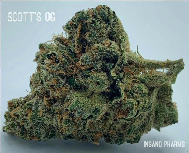 Insano Pharms - Scott's OG - 7g / 7pk Pre-Rolls