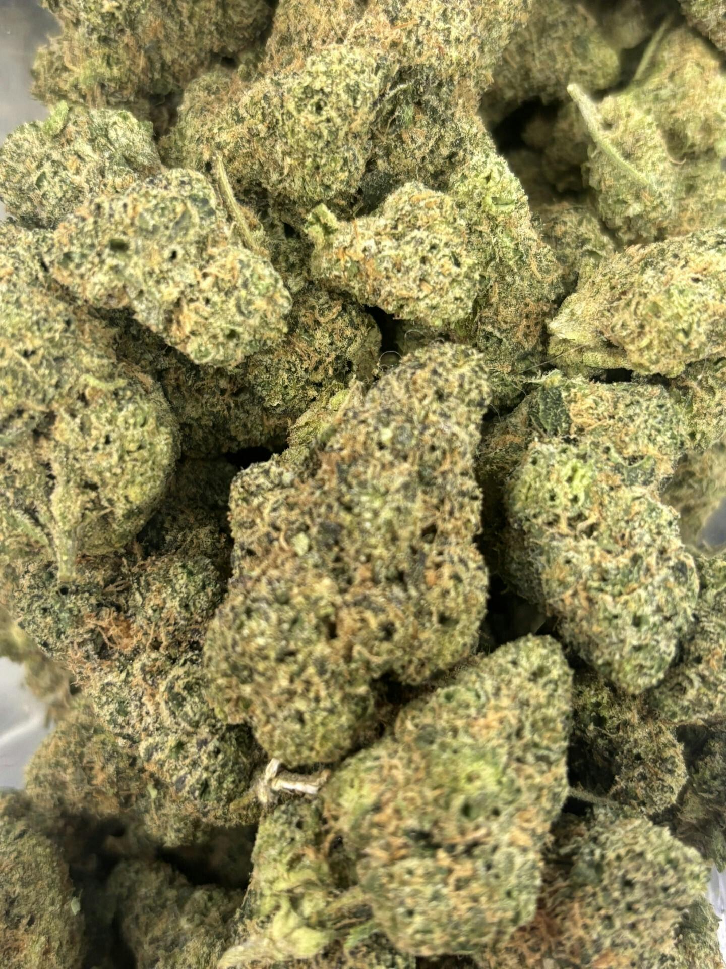 Black Maple (Hybrid) 28.24% (Deli)
