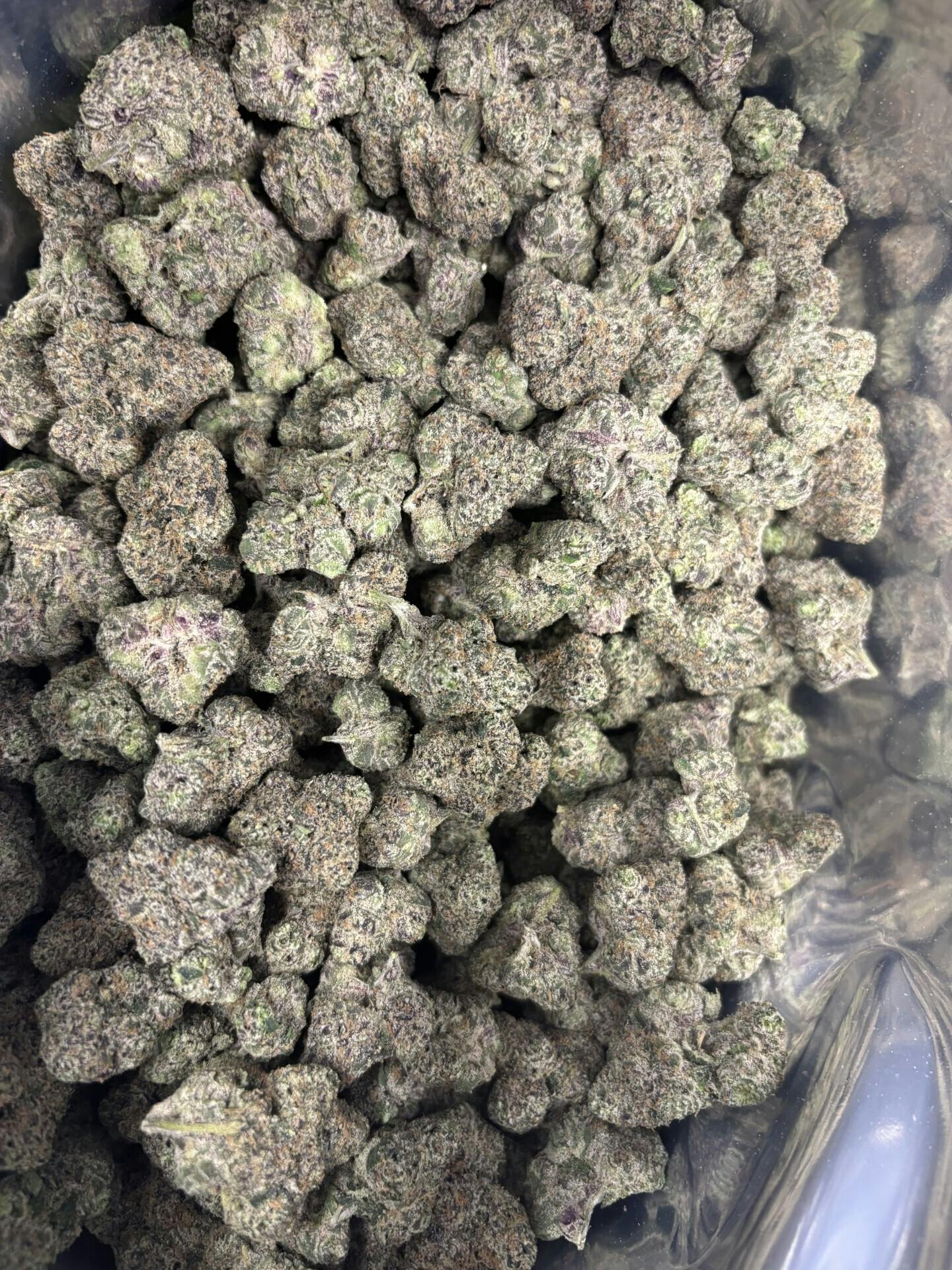 Peninsula Gardens- Candy Blues 25% (Hybrid) (Deli)