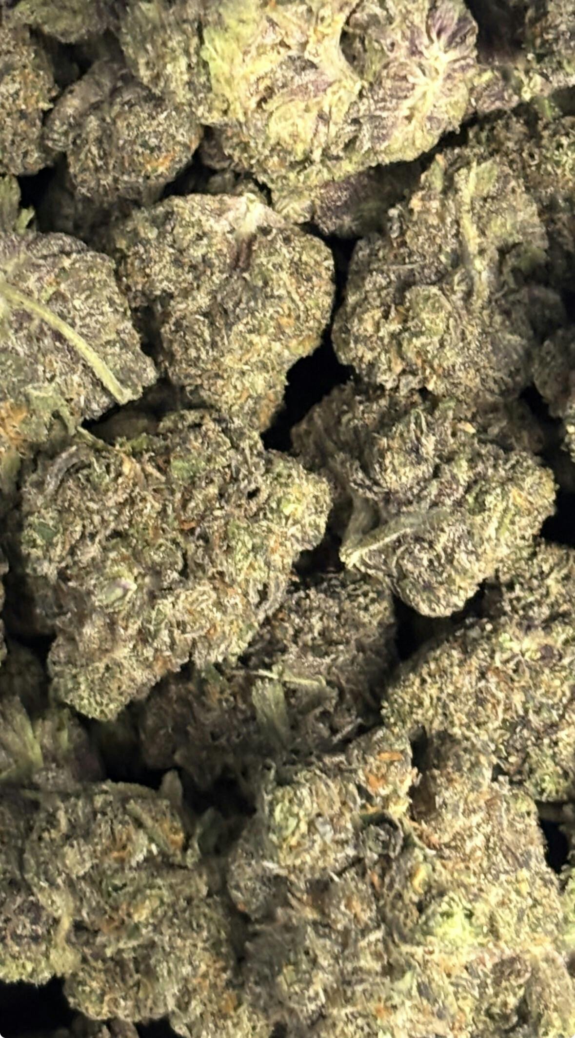 Grown Rogue- Triple Beam 25% (Hybrid) (Deli)