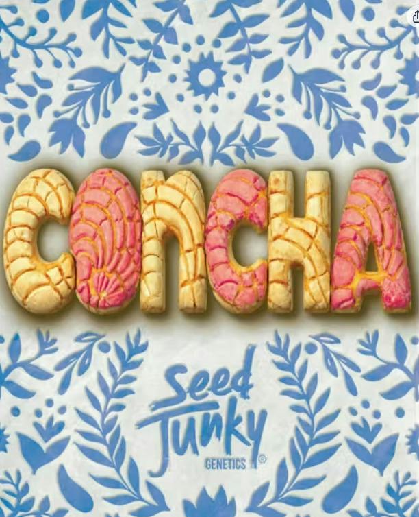 Seed Junky- Concha 30% (Deli)