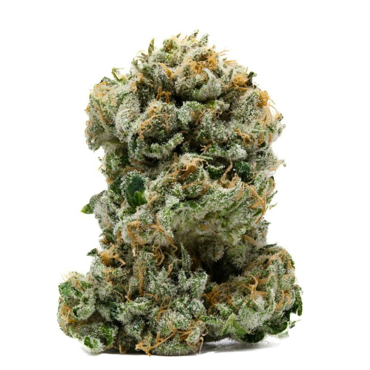 3.5G DURBAN GLUE TIER 1 FLOWER at SWADE Dispensary Warrensburg