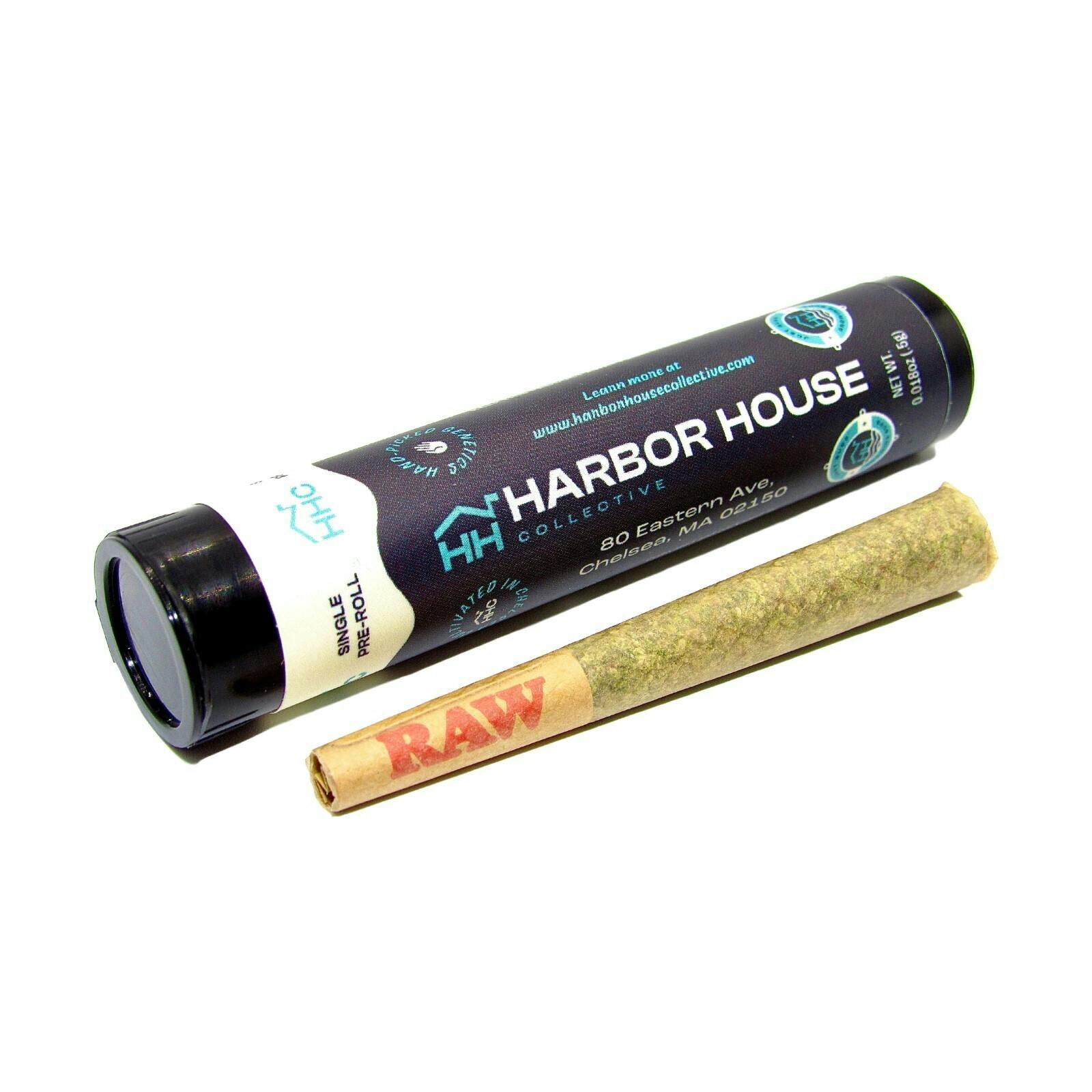 Pre-Roll - Black Maple at The Green Lady Dispensary