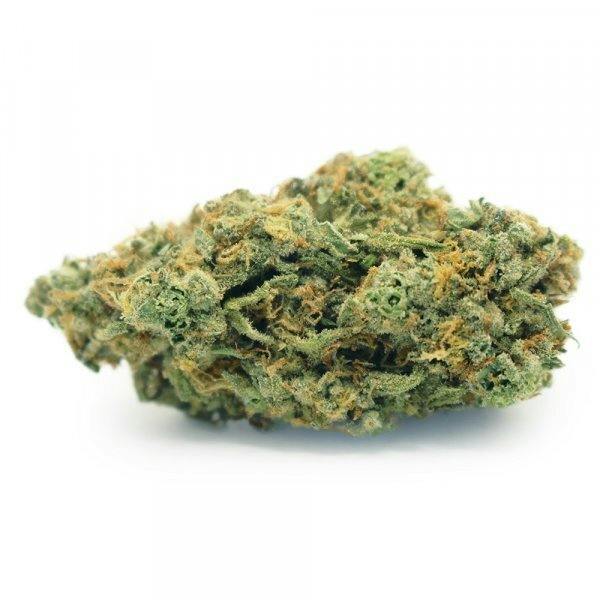 Little Ladies - Mass Super Skunk at The Green Lady Dispensary