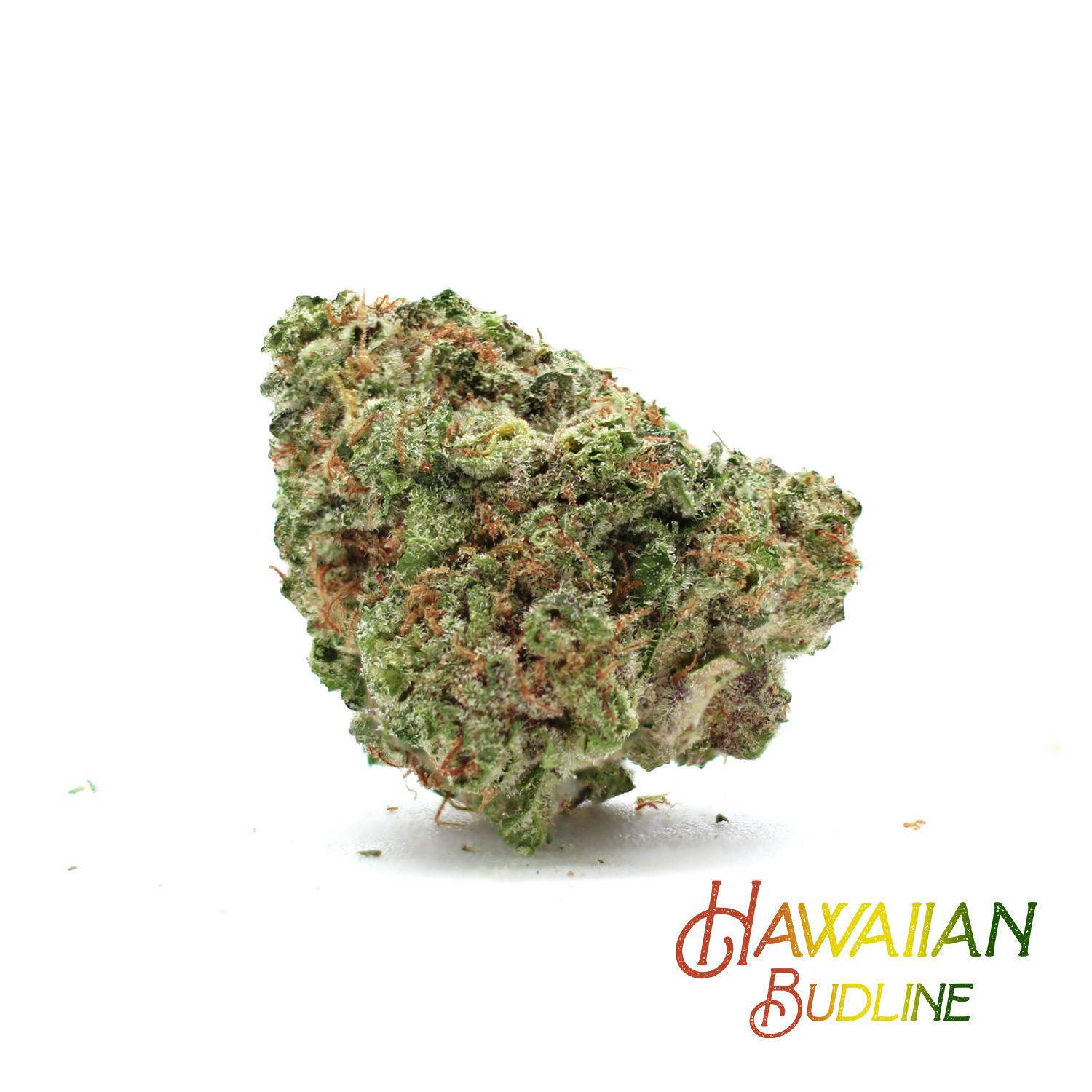 Puna Alien Fuel* at Noa Botanicals Kaneohe Dispensary