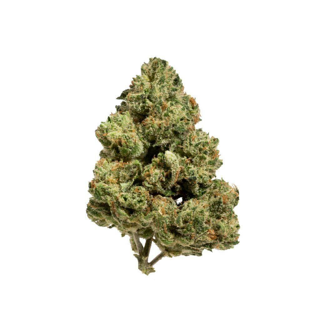 Firestar Lemon Essence (S) Flower
