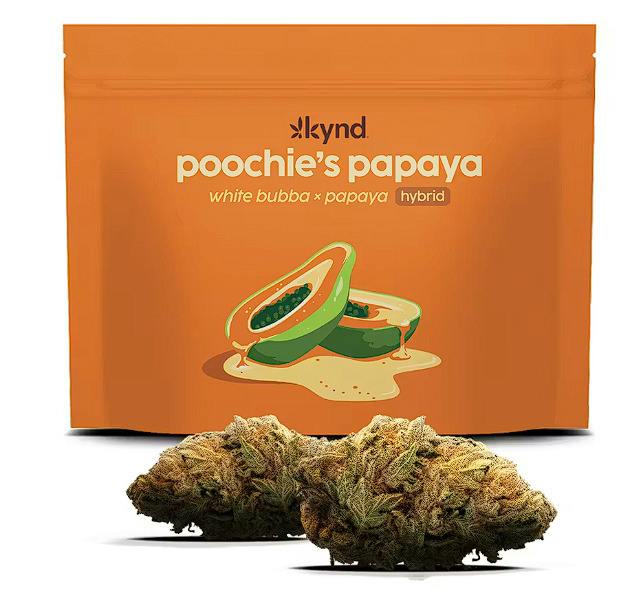 Kynd Poochie's Papaya (S) Flower
