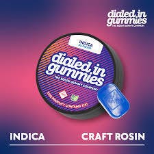 Blueberry Rosin Gummies 10 Pack (I)