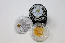 Mango Budder CRC Sugar - H 1g