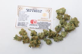 Burly Chem Fusion #6 Tier 1 Flower - Sativa 3.5g