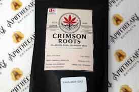 Cake Boss Shake Oz - Indica 28g