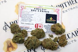 OK Nights Killer Bee Tier 1 Flower - Sativa 14g