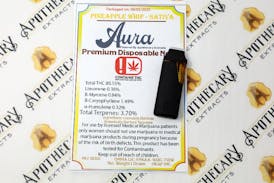 Aura Pineapple Whip Nano - Sativa 1g