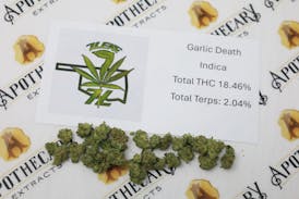 7 Leaf Garlic Death Tier 1 Flower - Indica 14g