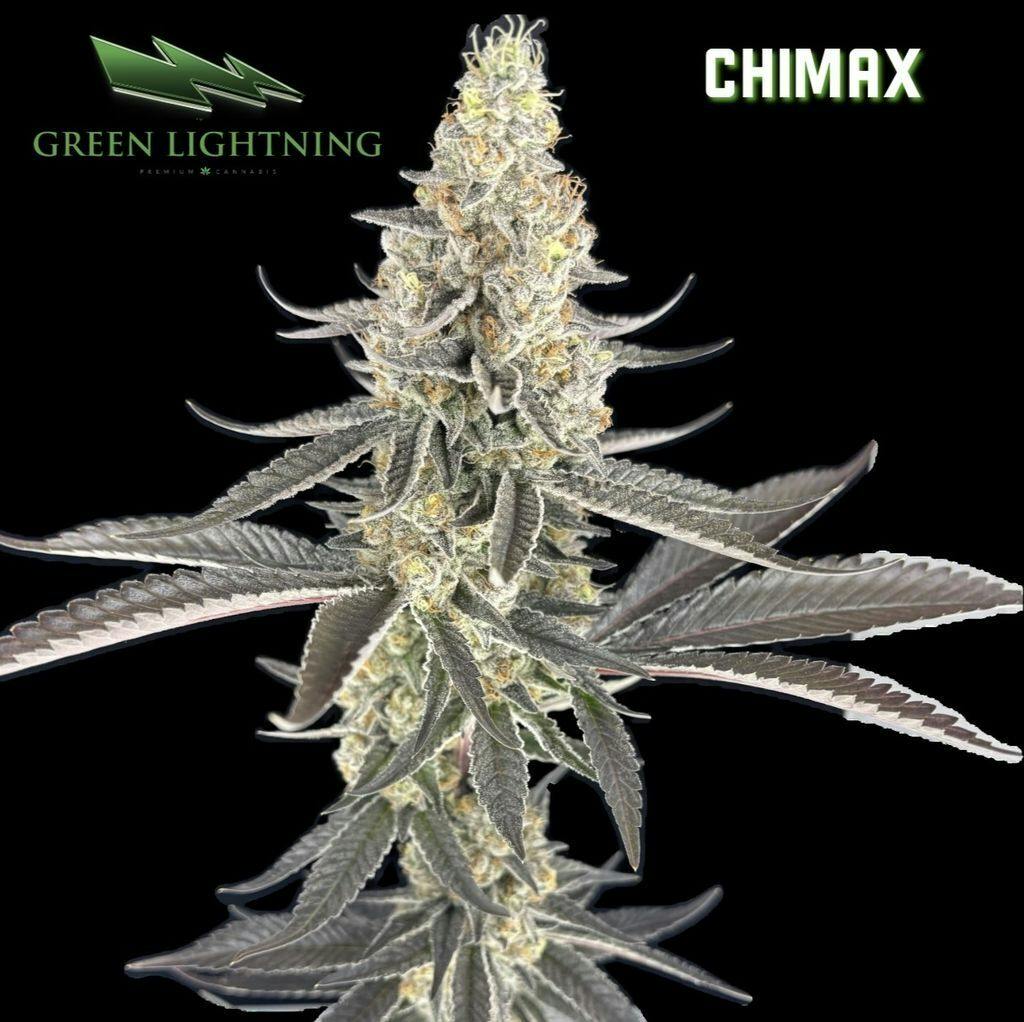 Green Lightning Chimax Flower 28g