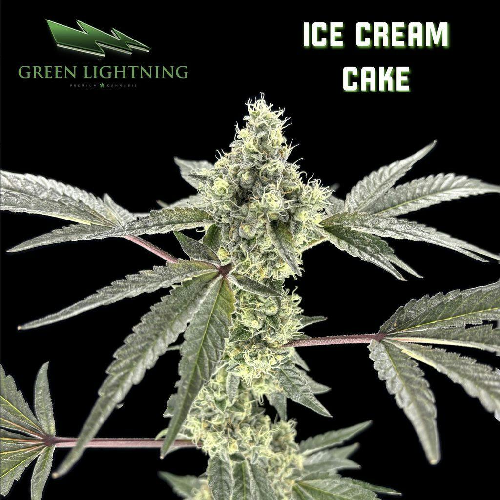Green Lightning Ice Cream Cake Flower 28g