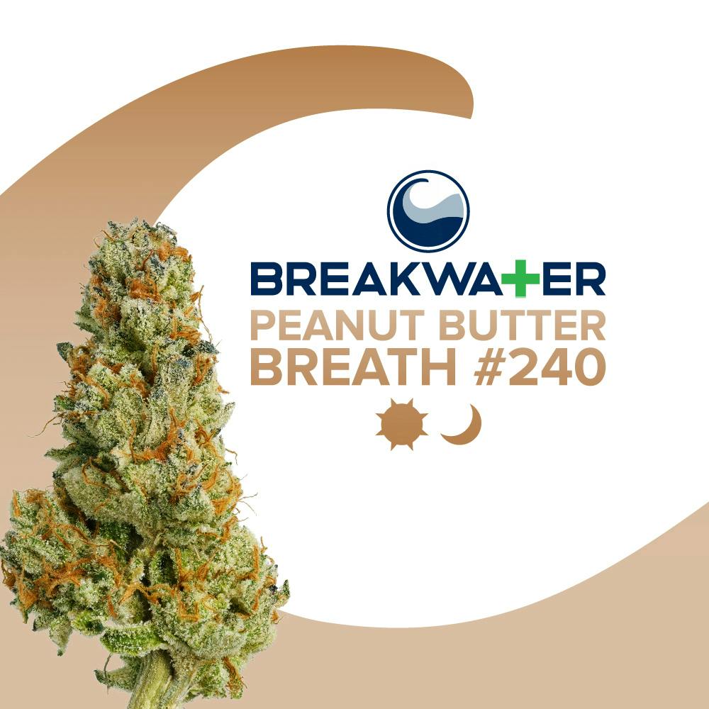 Breakwater Peanut Butter Breath #240 Flower 3.5g