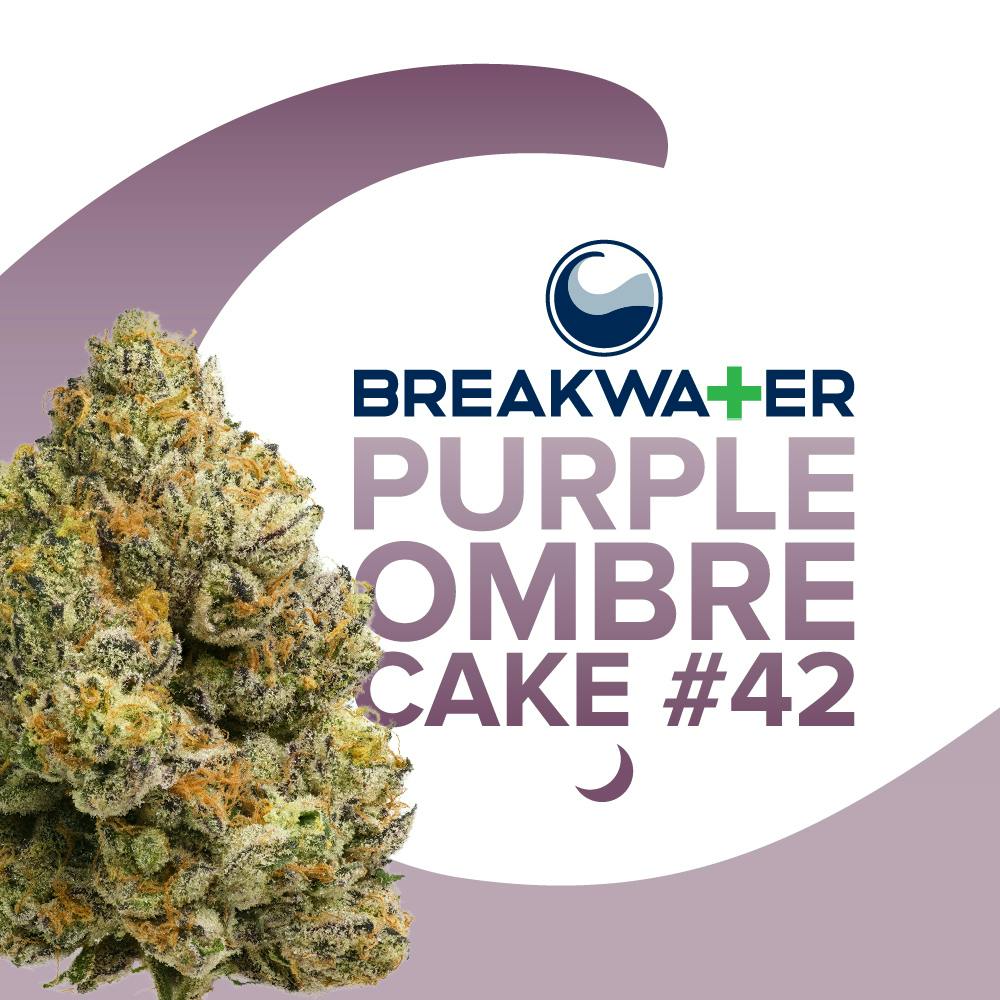 Breakwater Purple Ombre Cake #42 Flower 3.5g