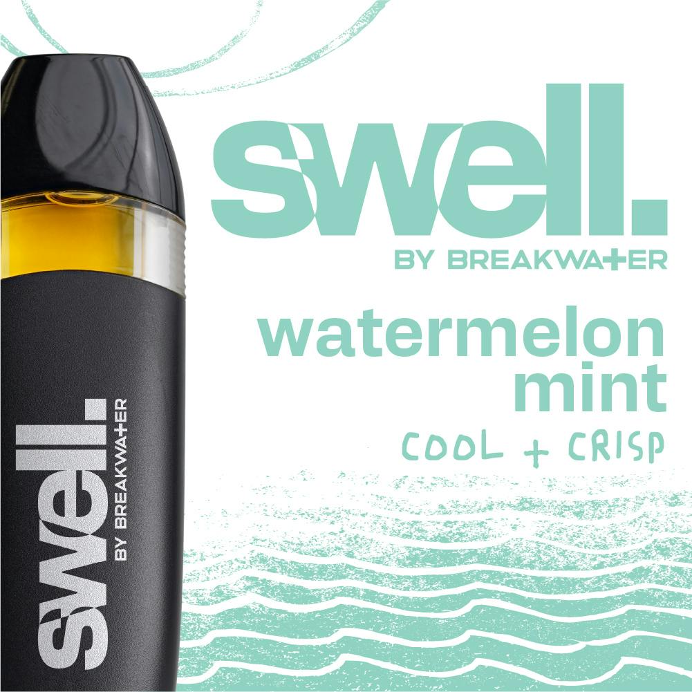 Swell Watermelon Mint Disposable 1g