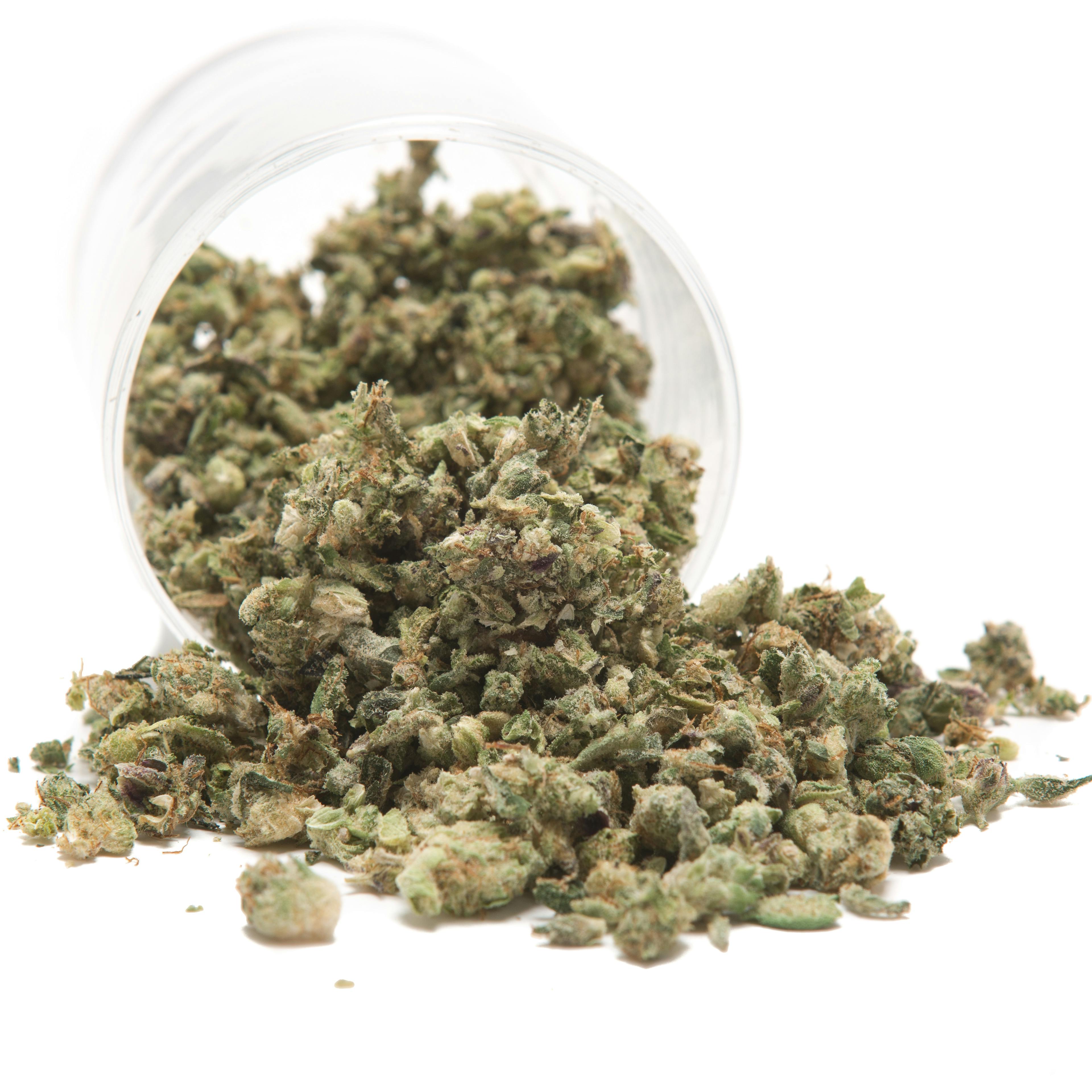 Modern Purple Punch