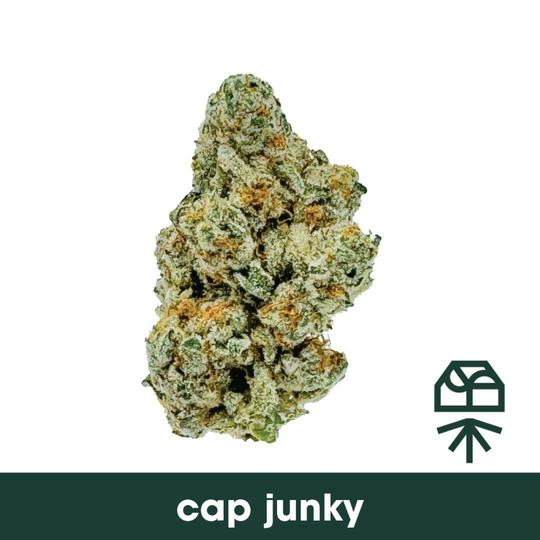 Cap Junky Popcorn