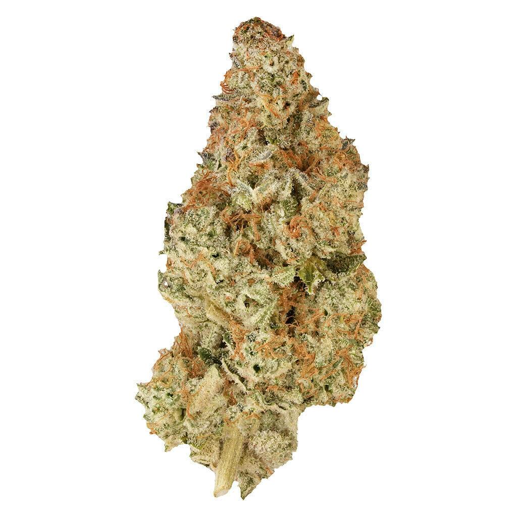 PINK DRIP - 7