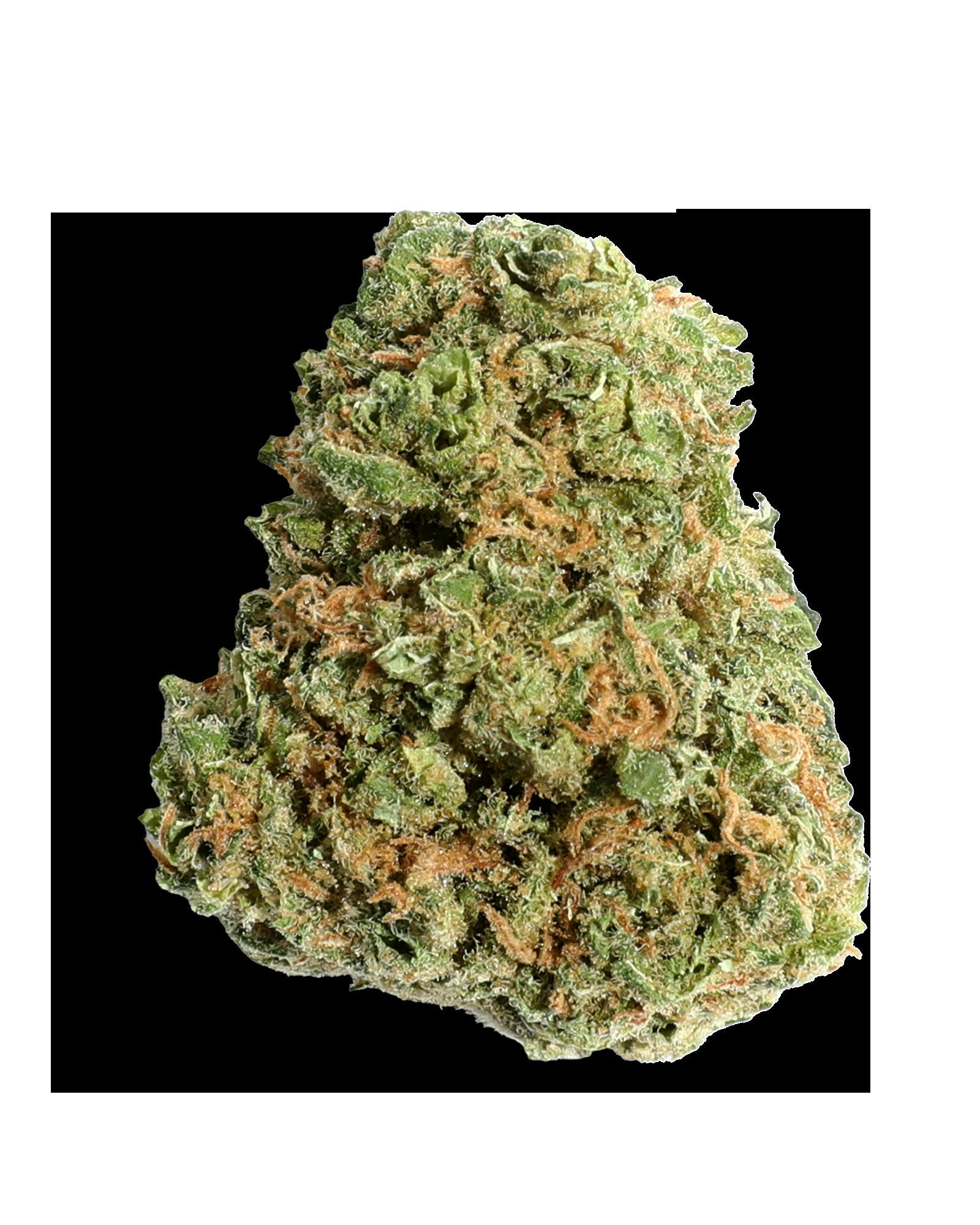 LEM DOG 3.5G