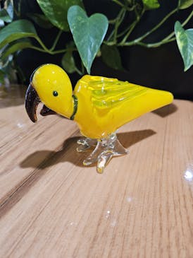 6" Parrot Glass Hand Pipe