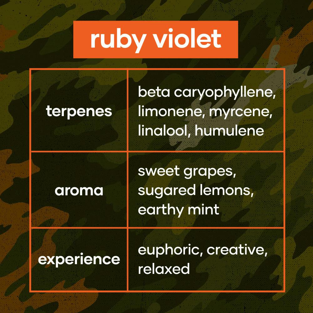 CODES: Flower | Ruby Violet