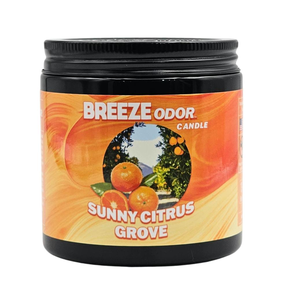 13oz Candle - Sunny Citrus Grove