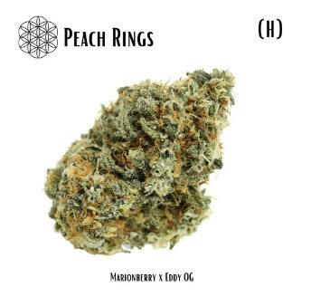 Flower Of Life | Peach Rings | Indica | Bulk Flower | Platinum