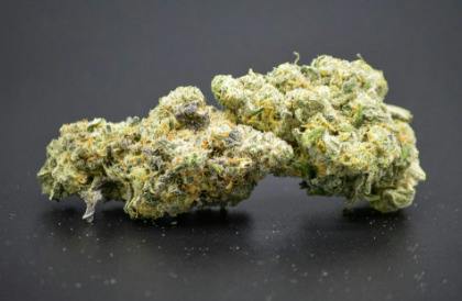 Harbor Farmz | Zoap | Hybrid | Bulk Flower | PLATINUM