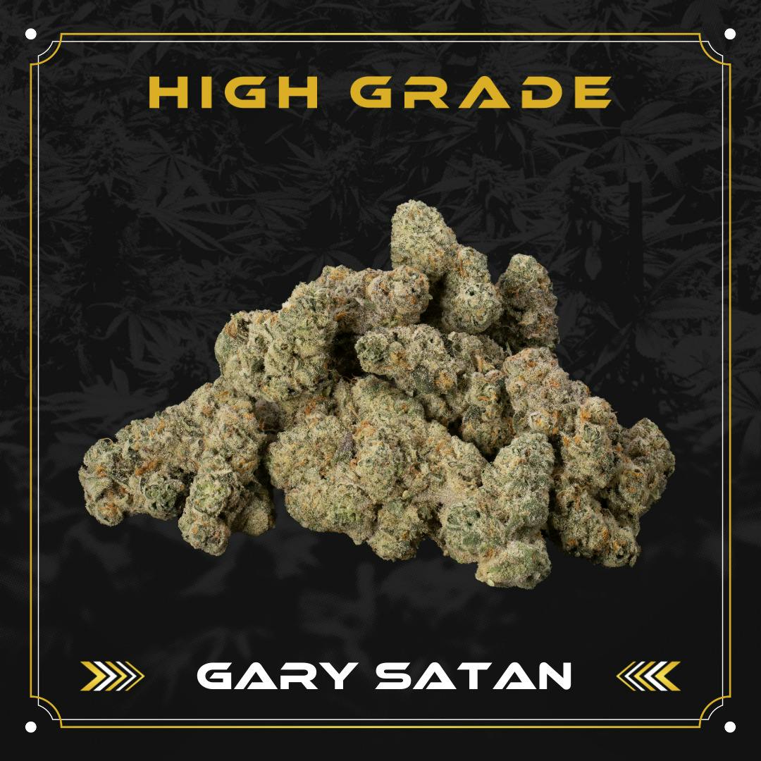 High Grade | Gary Satan | Pre-roll | 1g | Indica