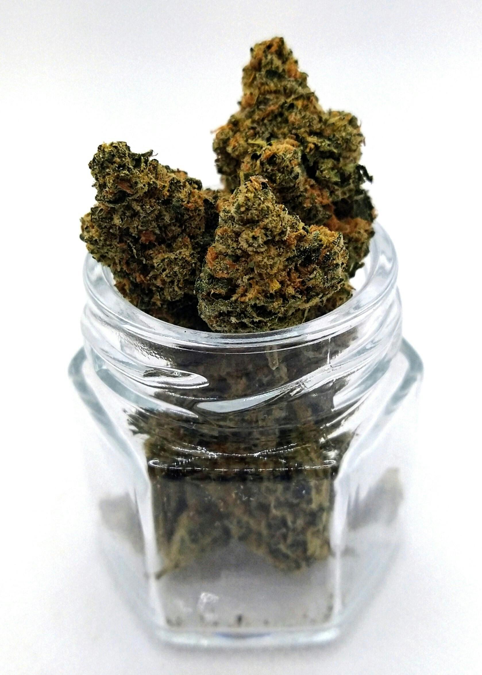 Thunder Canna | Egg Roll | Indica | Bulk Flower | Bronze