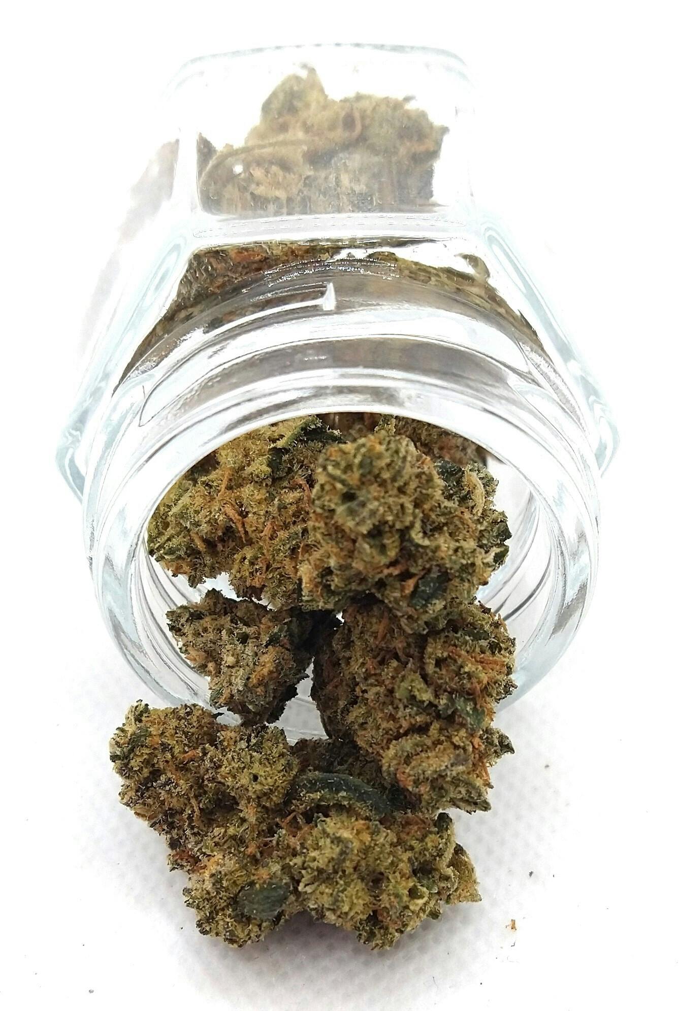 Thunder Canna | Mac OG | Indica | Bulk Flower | Bronze