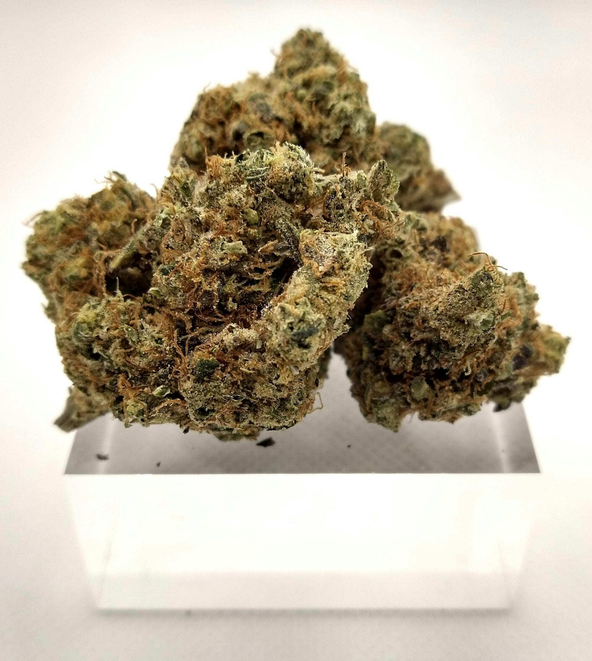 Good Nature | Pina Rosa | Shake/Trim Prepacked | 3.5g | Hybrid