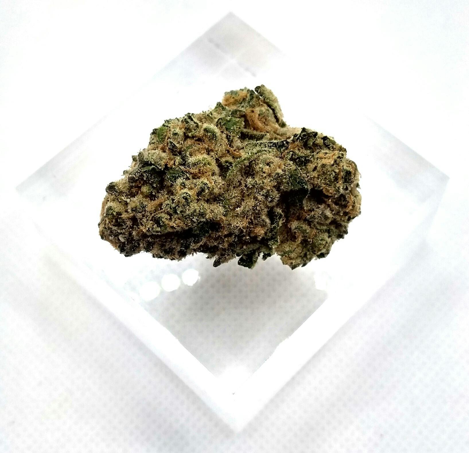Harbor Farmz | LA Kush Cake | Indica | Bulk Flower | Bees Knees