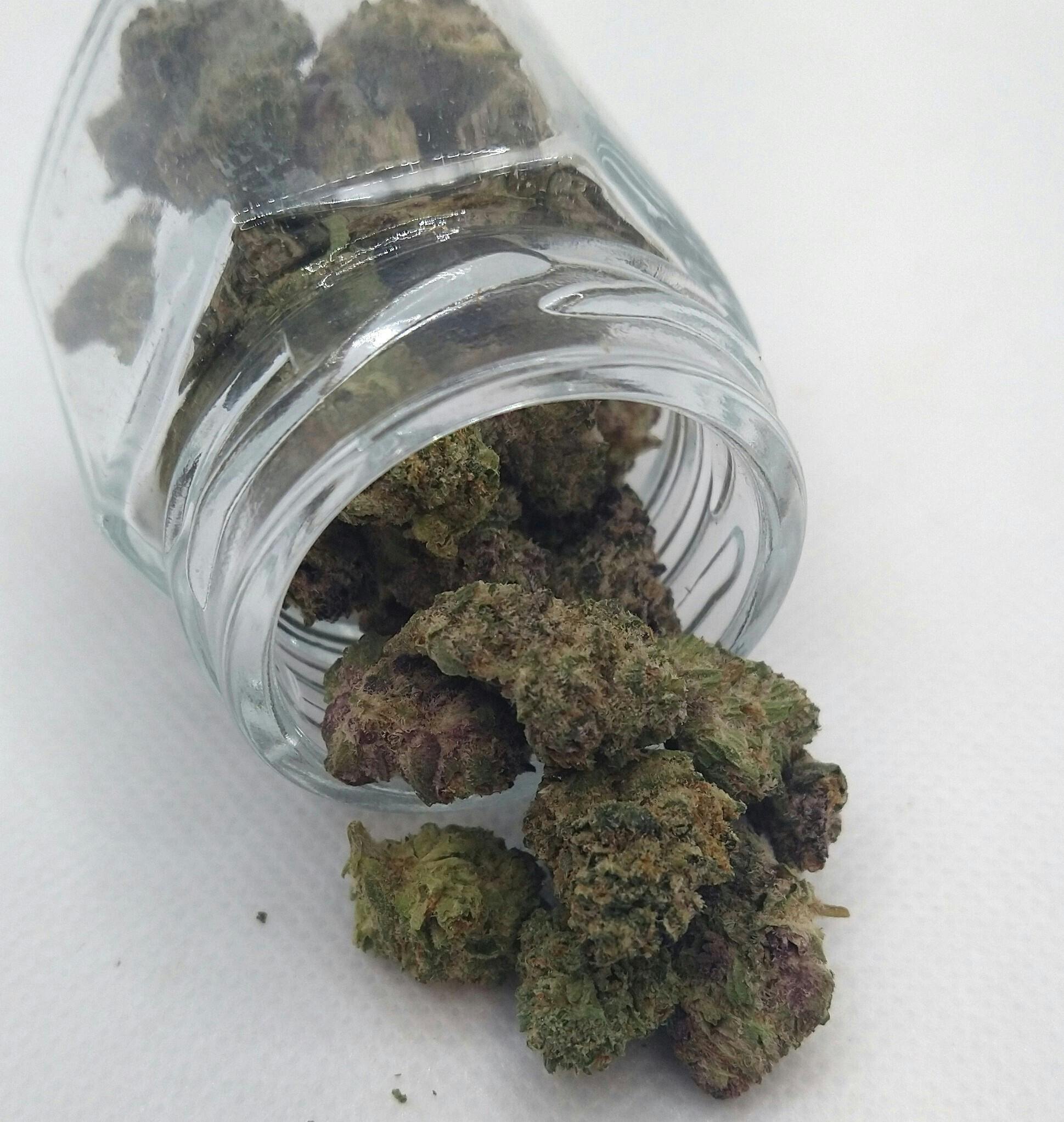 Apex Farms | Sub-Zero #12 | Indica | Bulk Flower | Silver