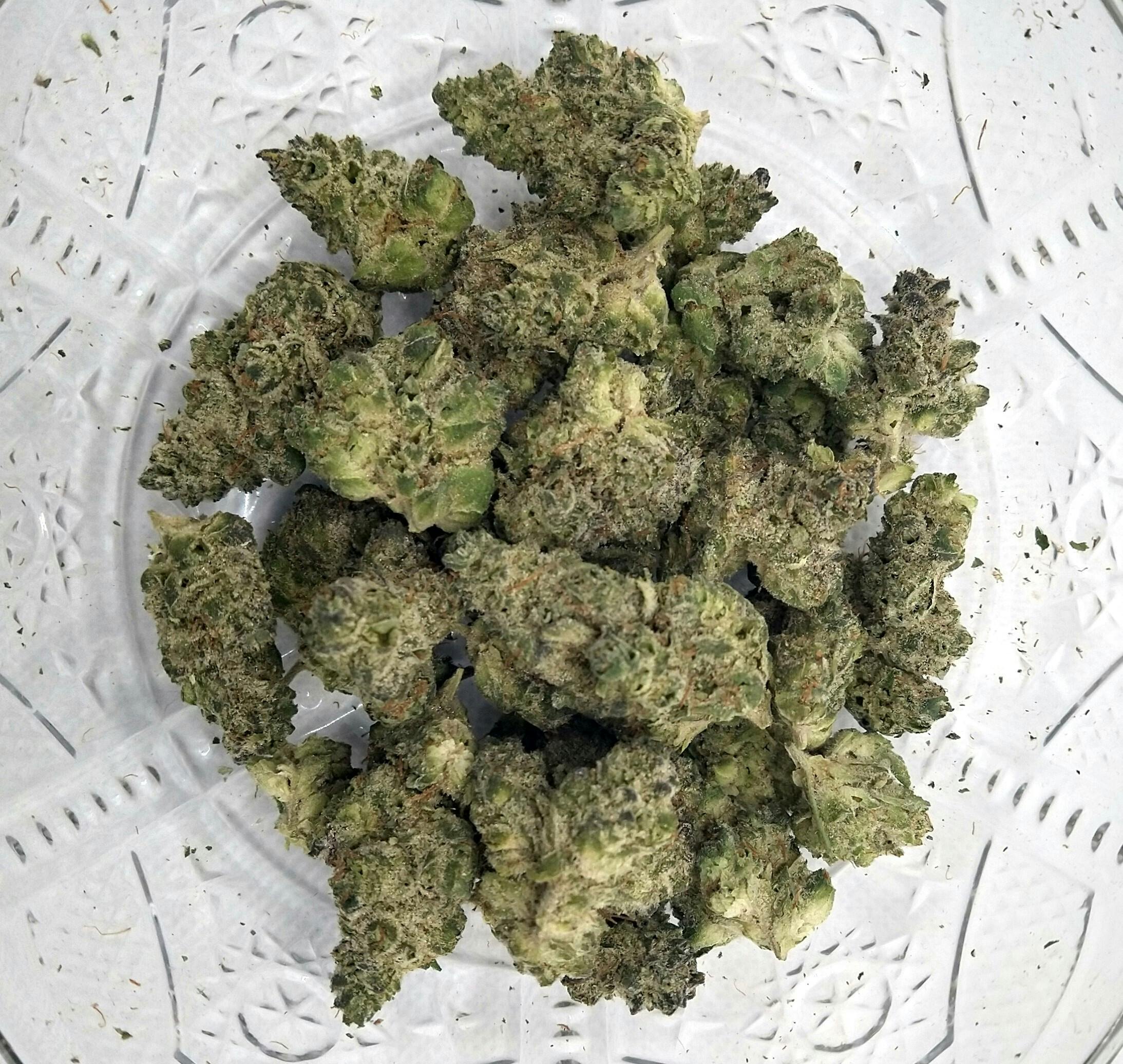 TruSmoke | The One | Shake/Trim Prepacked | 3.5g | Hybrid