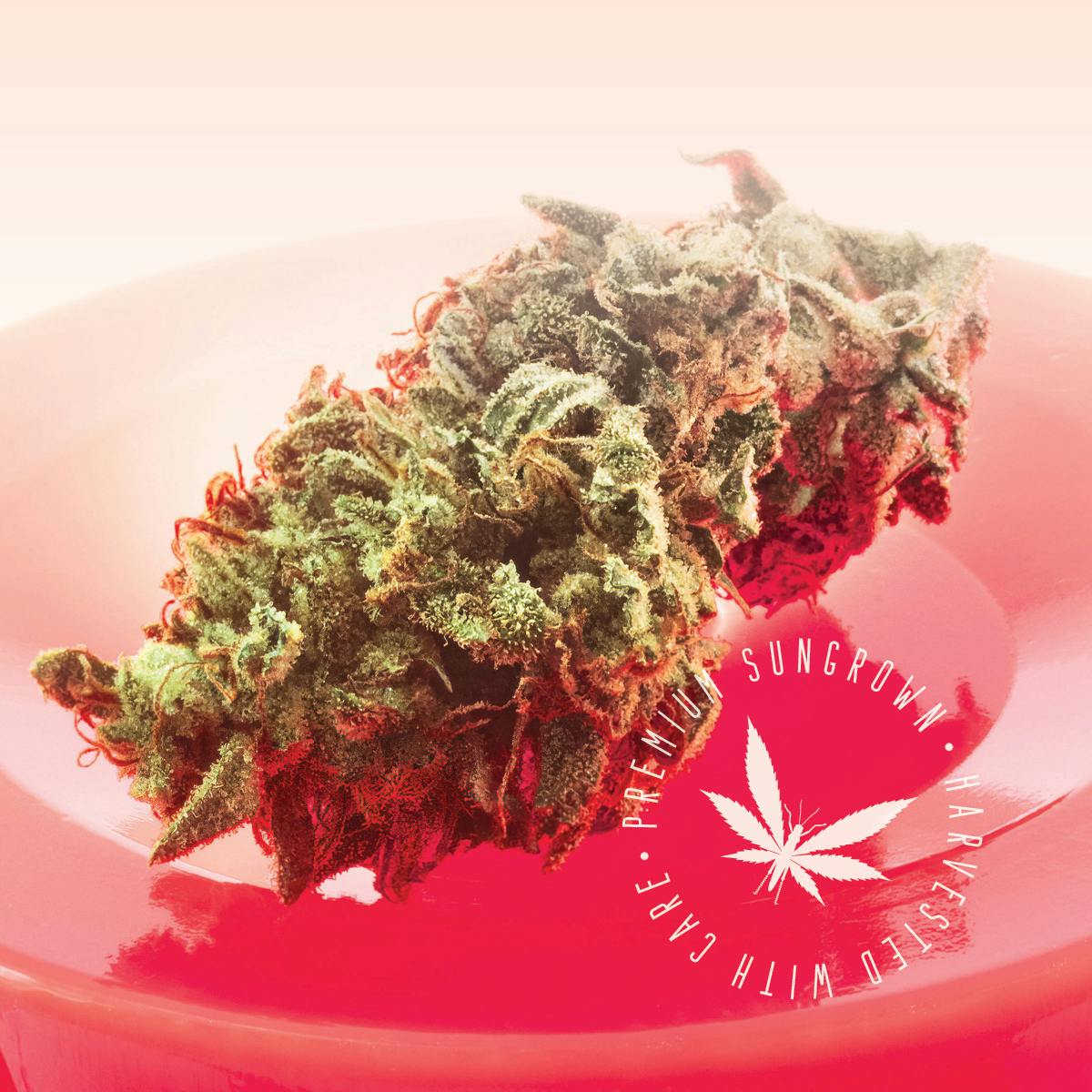 Grasshopper Farms | Red Pop | Indica | Bulk Flower | BRONZE