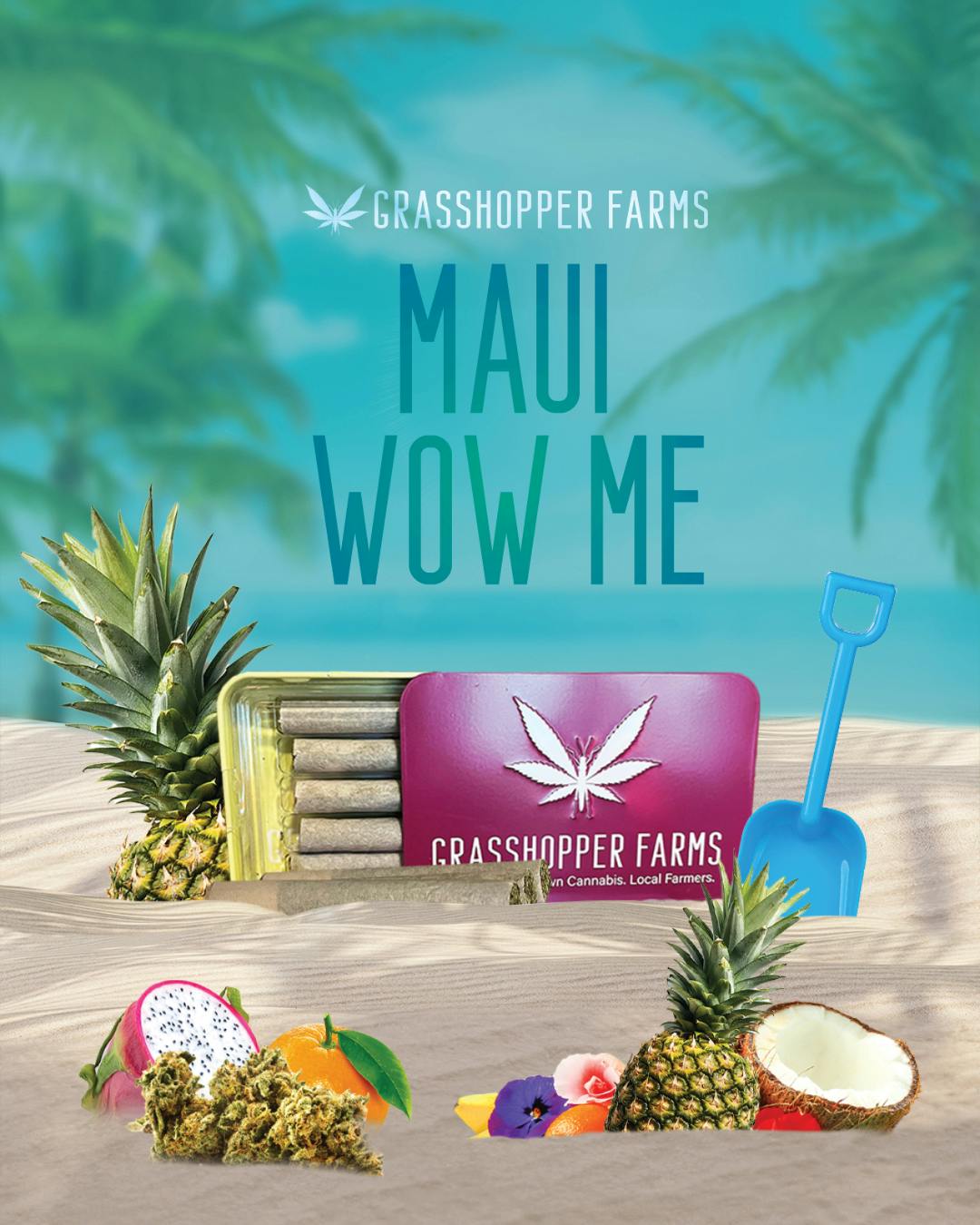 Grasshopper Farms | Maui Wow Me | Infused Pre-rolls Tin | 1g x 5 | Sativa
