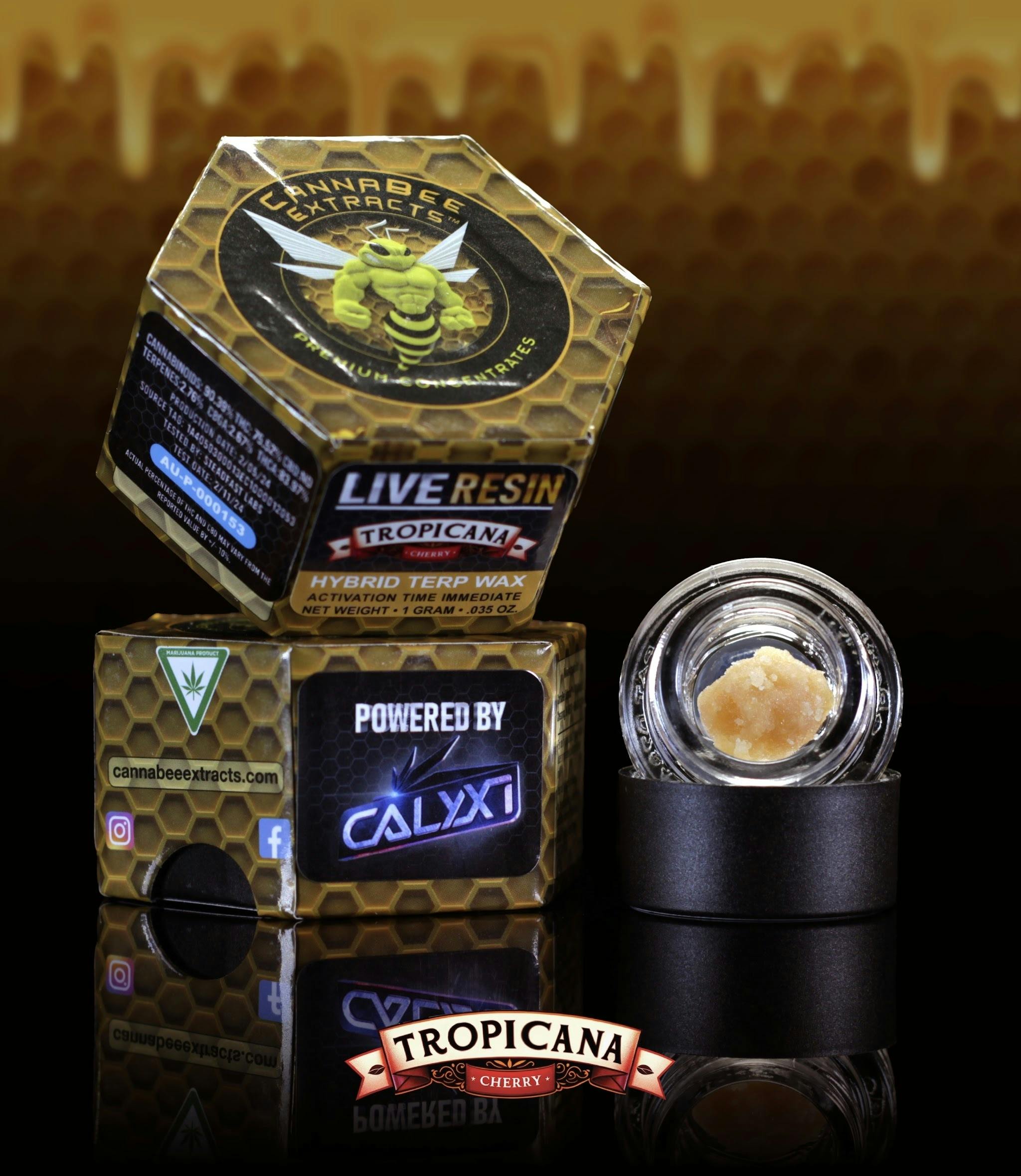 Canna Bee | Trop Cherry | Live Resin | 1g | Sativa
