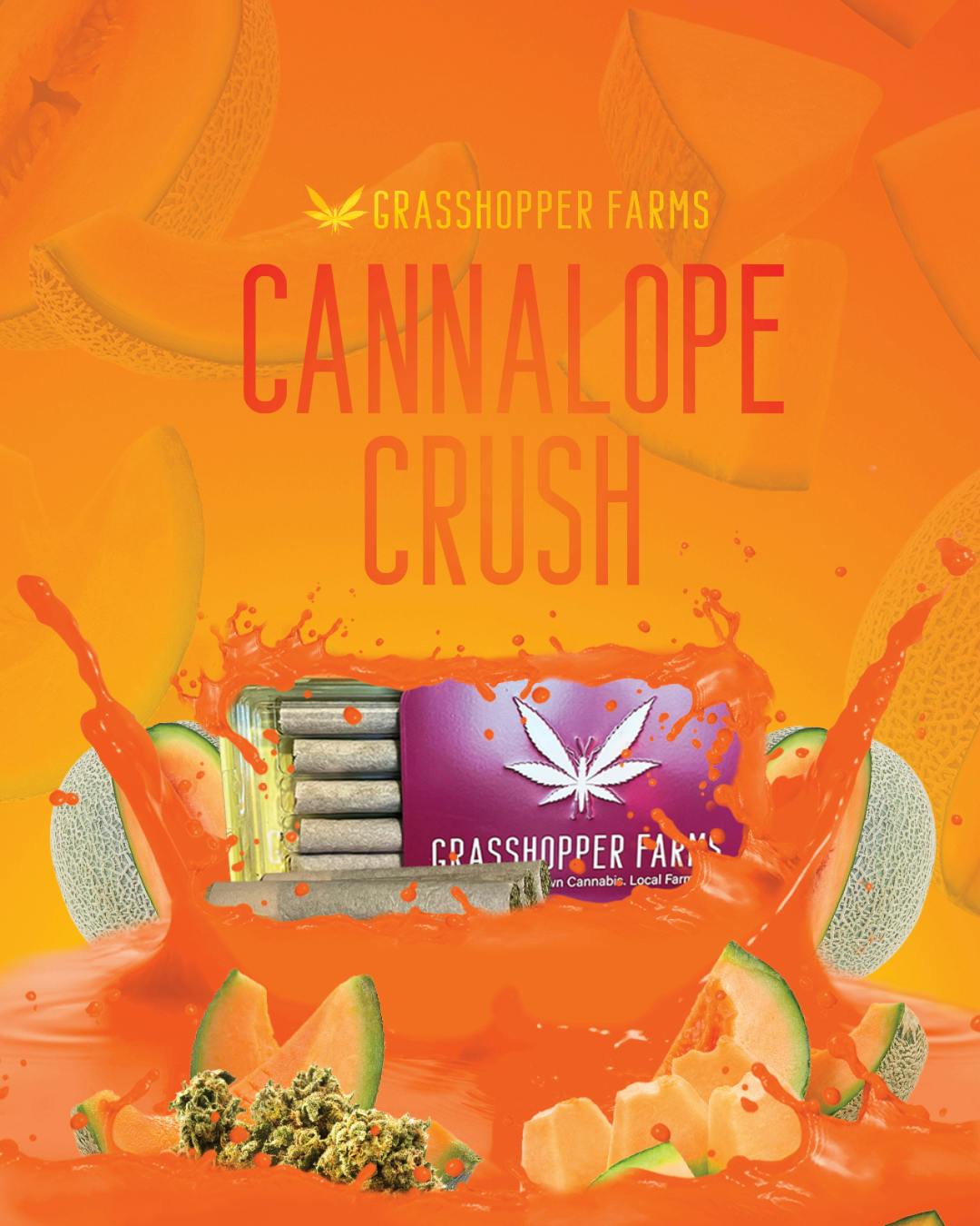 Grasshopper Farms | Cannalope Crush | Infused Pre-roll | 1g | Hybrid