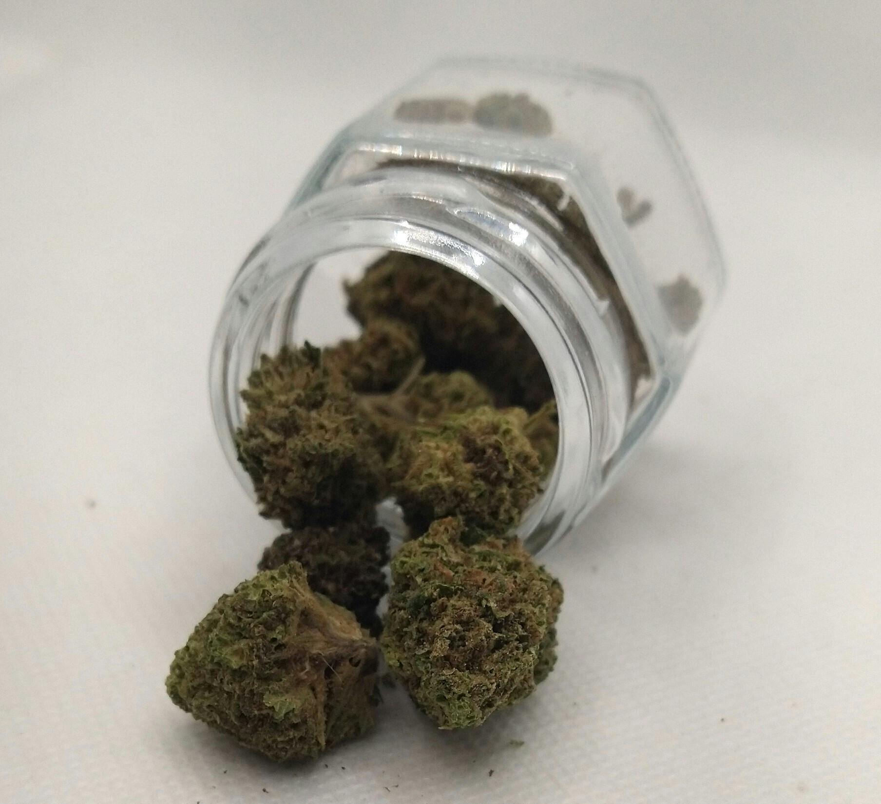 GreenCo | Forbidden Cream | Sativa | Bulk Flower | Silver