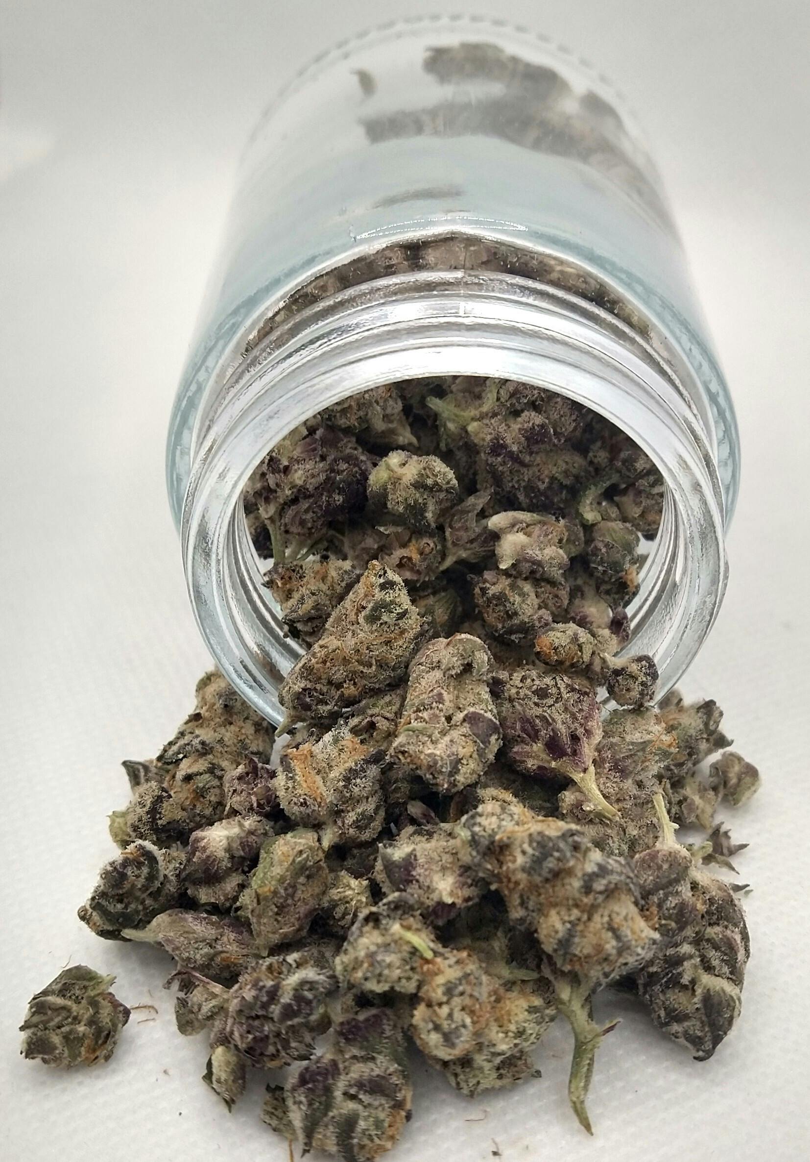 TruSmoke | Gator Breath | Indica | Bulk Flower | Silver